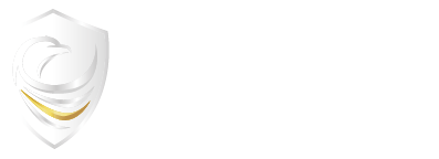 Eagle IT services Status