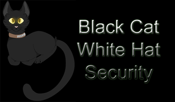 Black Cat White Hat Security Status